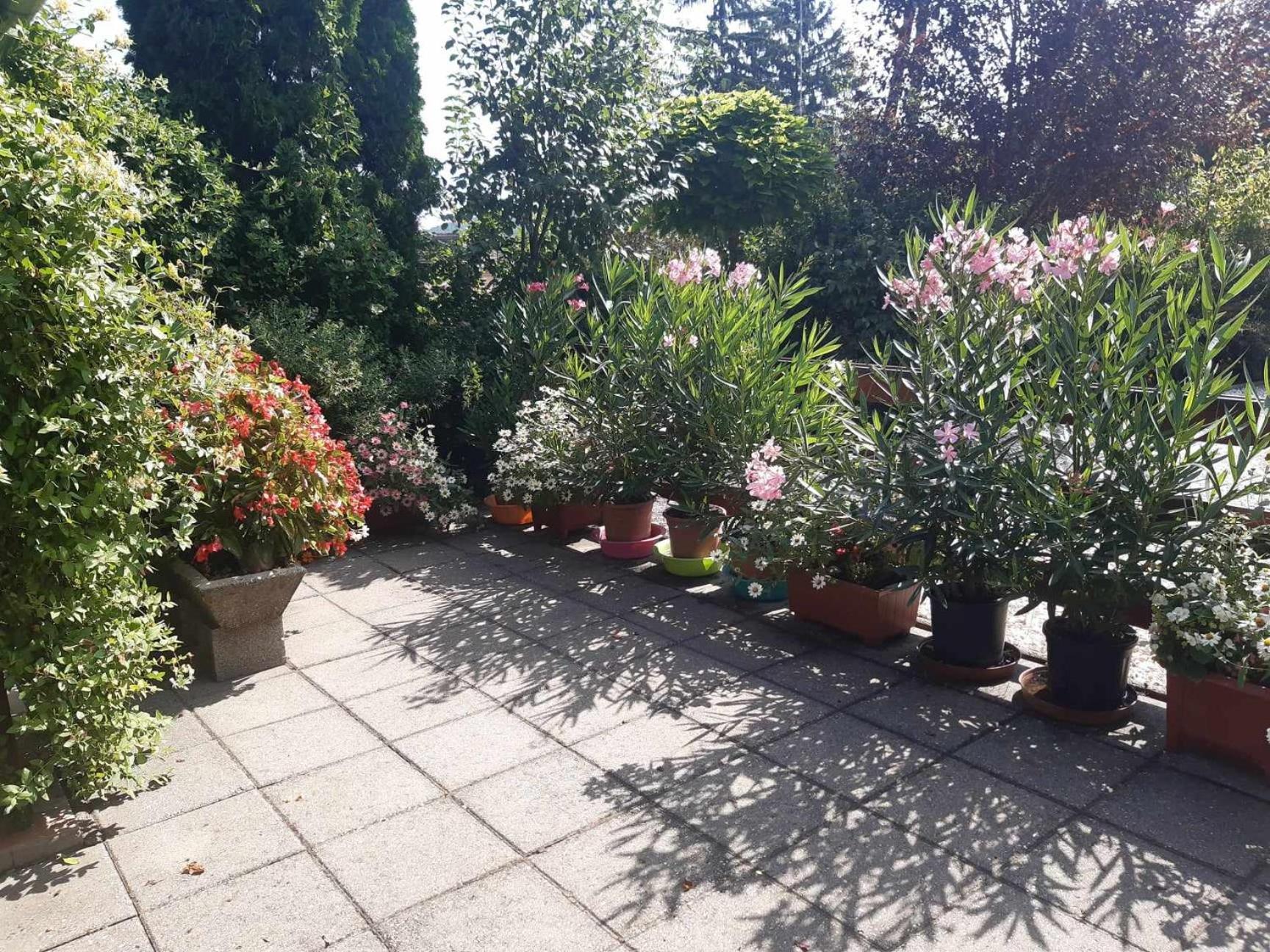 Gyoengyvirag Apartment Romhány Exteriör bild