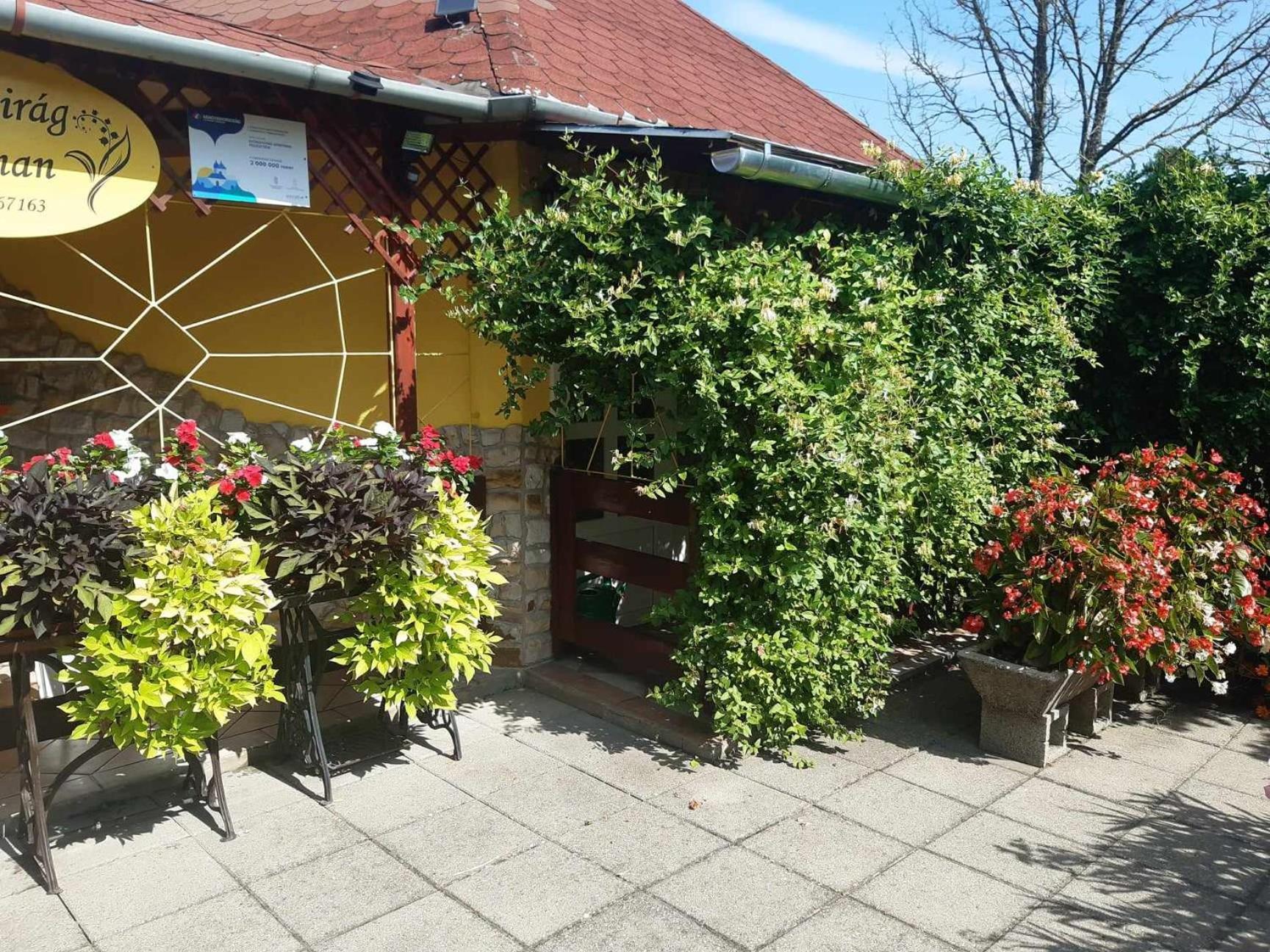 Gyoengyvirag Apartment Romhány Exteriör bild
